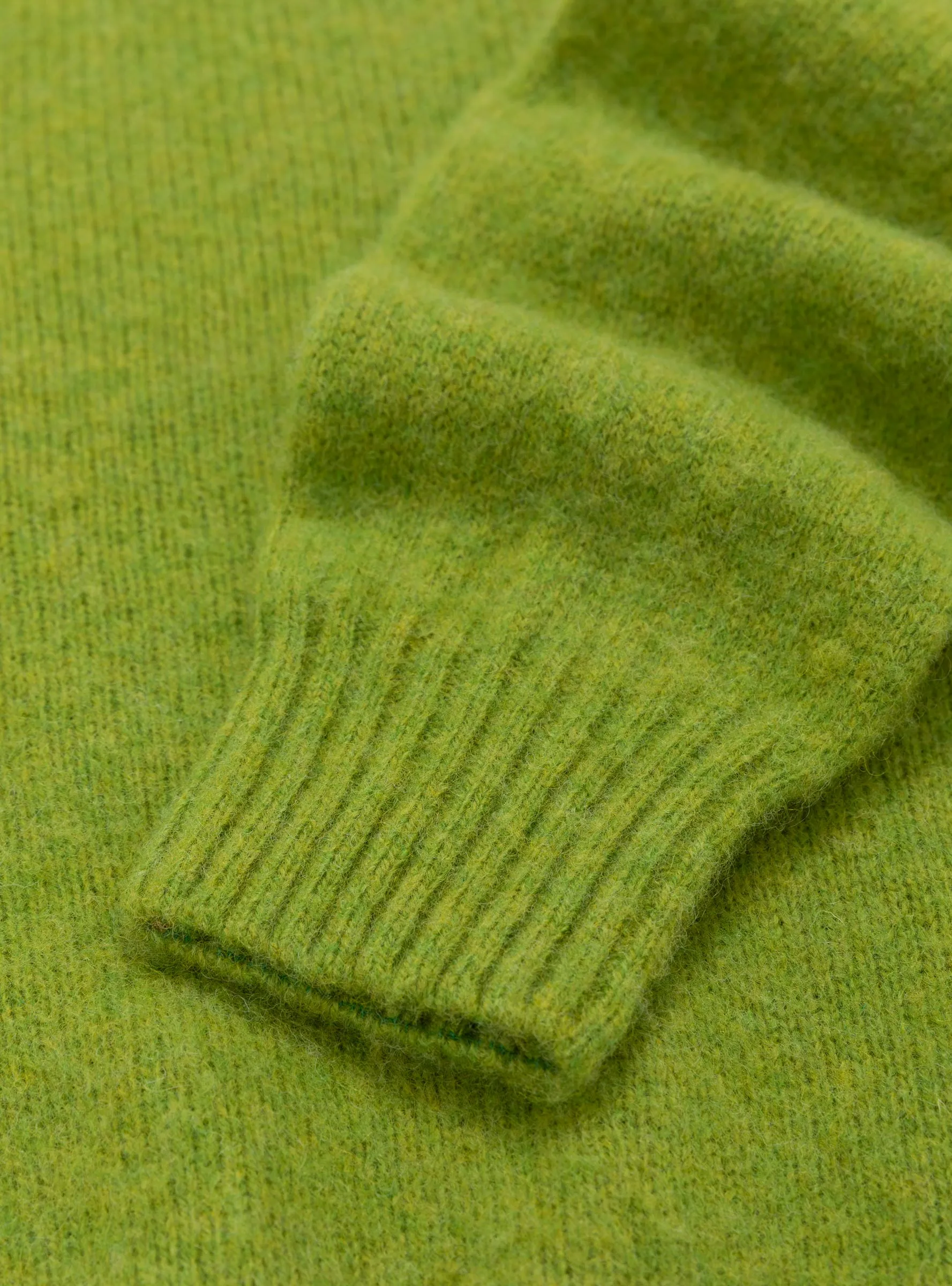 Birth of the Cool Crewneck Palm