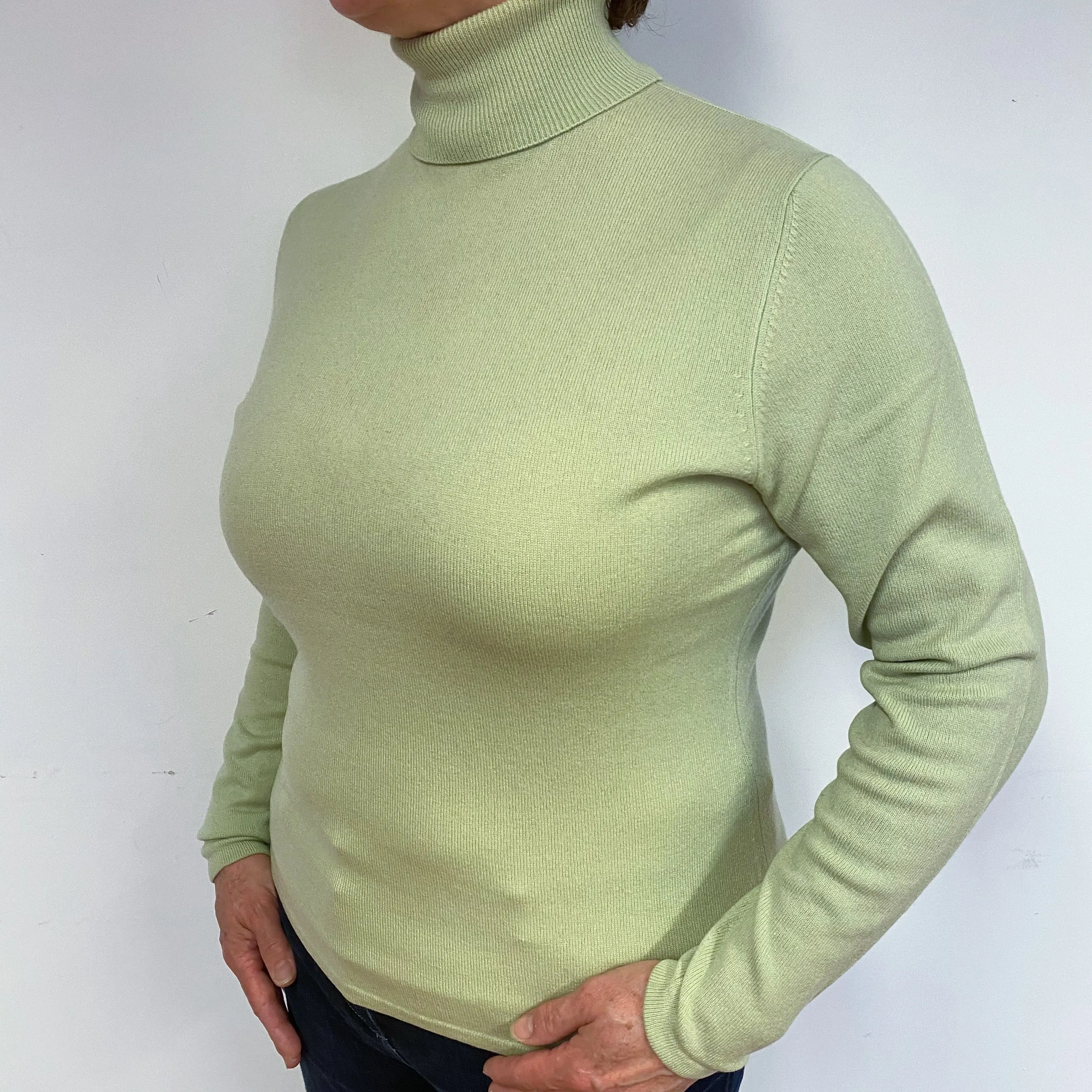 Chicory Green Cashmere Polo Neck Jumper Large