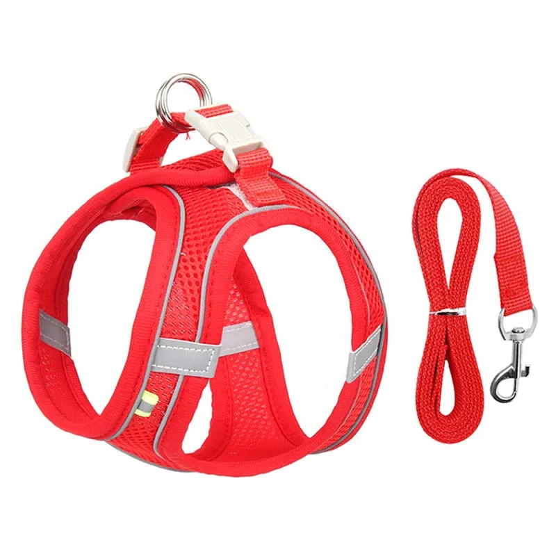 Dog Harness Leash Set for Small Dogs Adjustable Puppy Harness Vest Outdoor