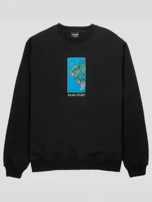 Quandong Crewneck